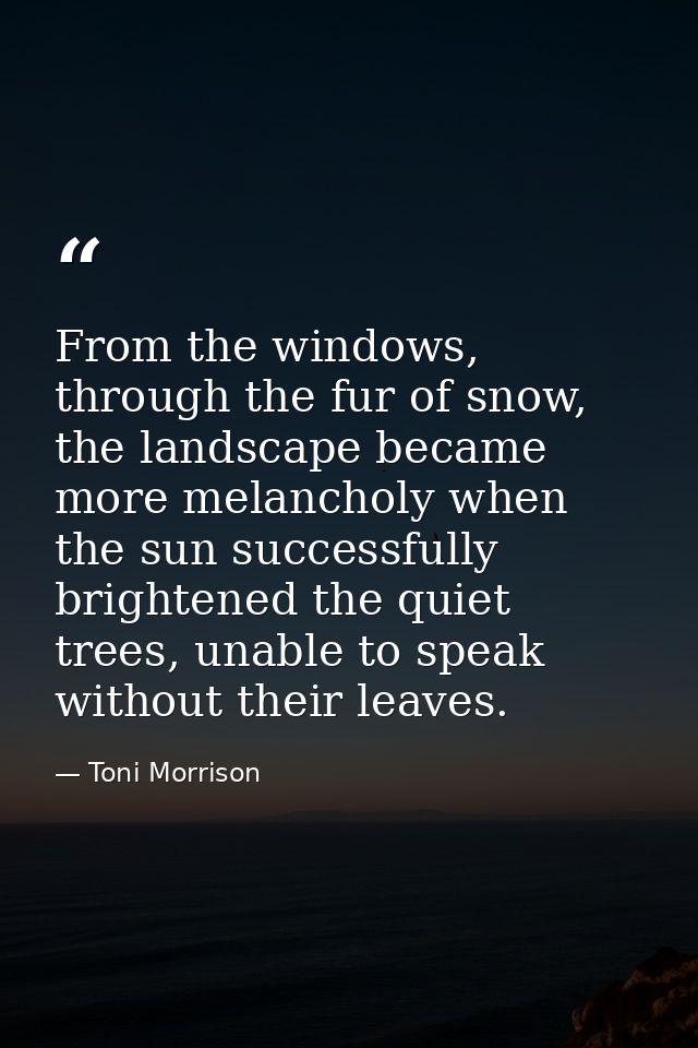From the windows, through the fur of snow, the landscape became more melancholy when the sun successfully brightened the — Toni Morrison