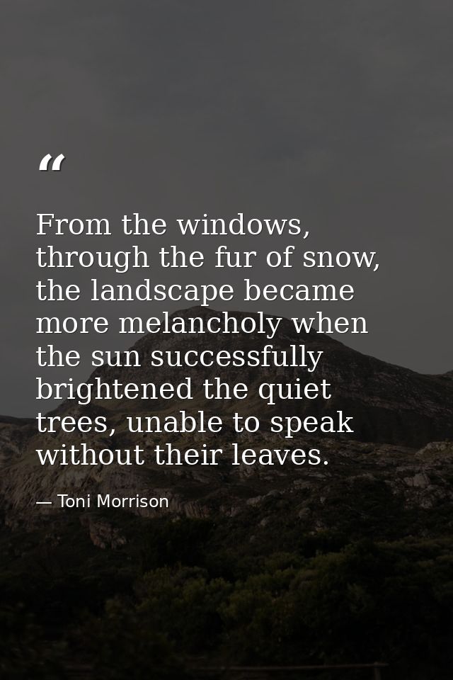 From the windows, through the fur of snow, the landscape became more melancholy when the sun successfully brightened the — Toni Morrison