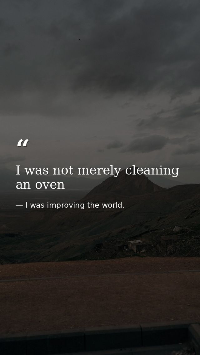 I was not merely cleaning an oven — I was improving the world.