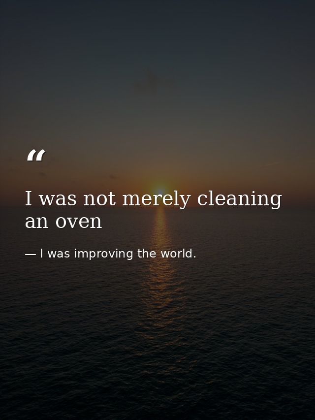 I was not merely cleaning an oven — I was improving the world.