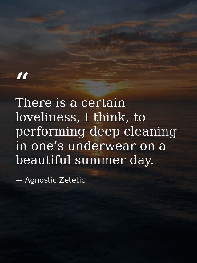 There is a certain loveliness, I think, to performing deep cleaning in one’s underwear on a beautiful summer day. — Agnostic Zetetic