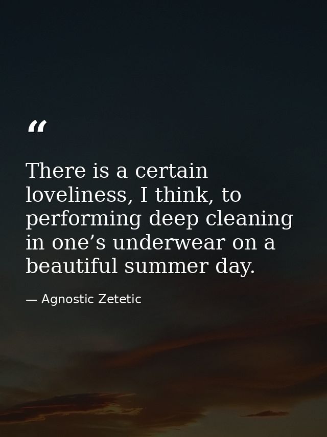 There is a certain loveliness, I think, to performing deep cleaning in one’s underwear on a beautiful summer day. — Agnostic Zetetic