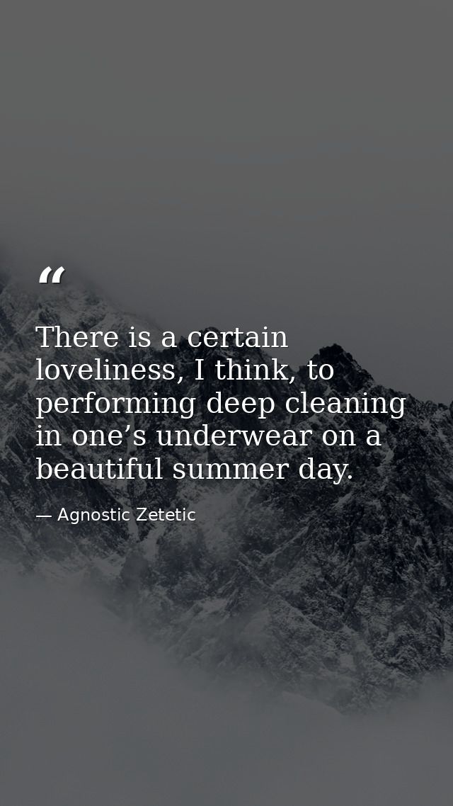 There is a certain loveliness, I think, to performing deep cleaning in one’s underwear on a beautiful summer day. — Agnostic Zetetic