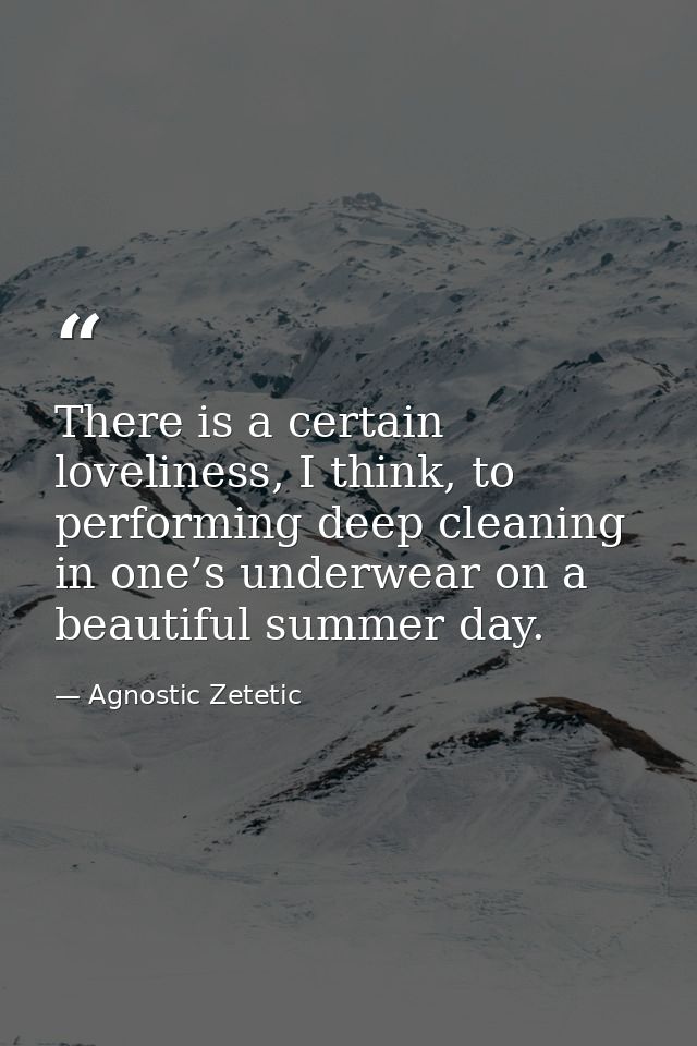 There is a certain loveliness, I think, to performing deep cleaning in one’s underwear on a beautiful summer day. — Agnostic Zetetic