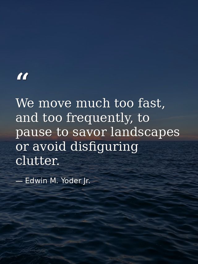 We move much too fast, and too frequently, to pause to savor landscapes or avoid disfiguring clutter. — Edwin M. Yoder Jr.