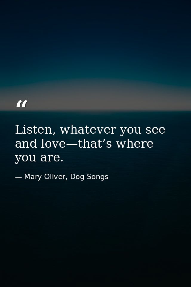 Listen, whatever you see and love—that’s where you are. — Mary Oliver, Dog Songs
