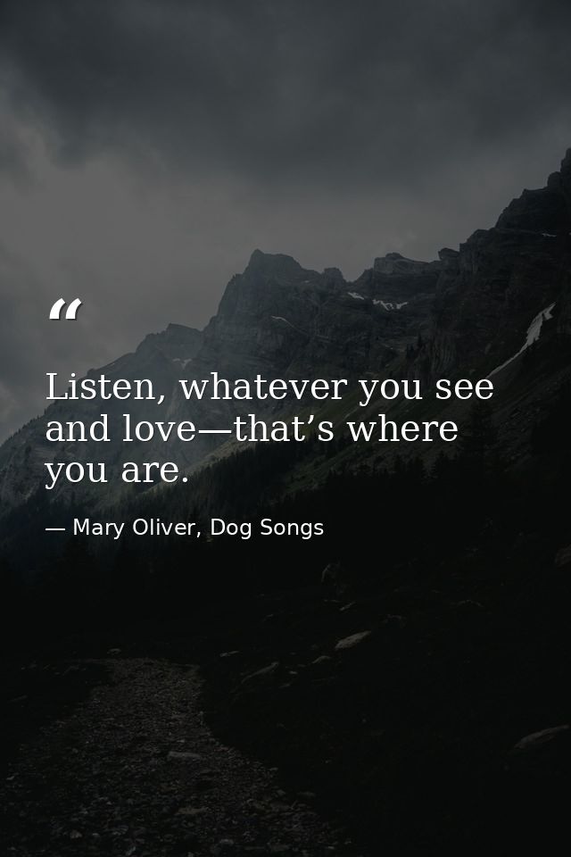 Listen, whatever you see and love—that’s where you are. — Mary Oliver, Dog Songs