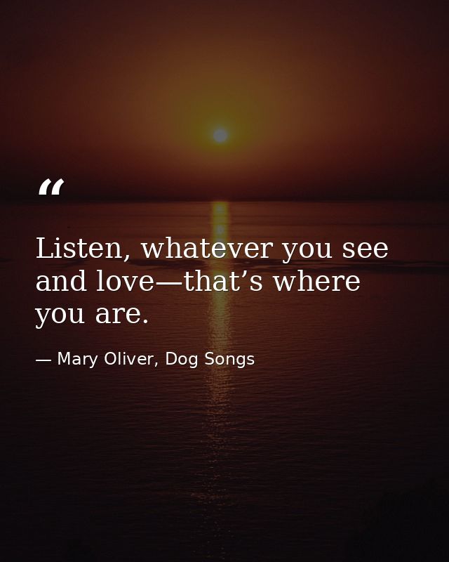 Listen, whatever you see and love—that’s where you are. — Mary Oliver, Dog Songs