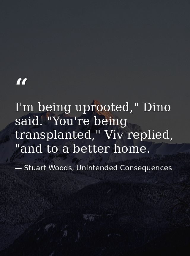 I'm being uprooted," Dino said. "You're being transplanted," Viv replied, "and to a better home. — Stuart Woods, Unintended Consequences