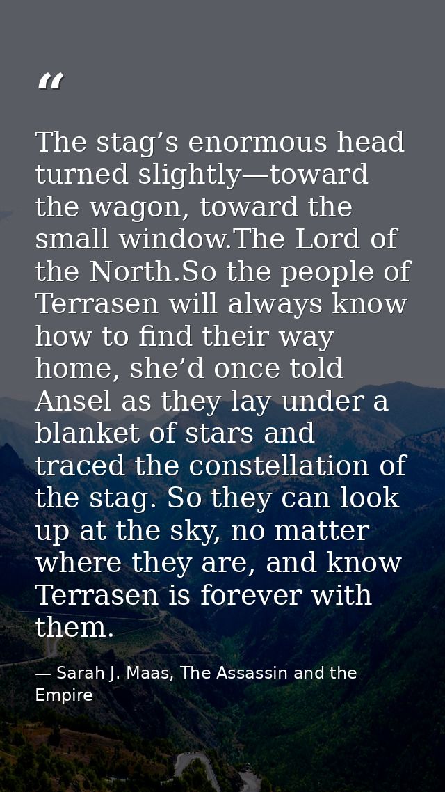 The stag’s enormous head turned slightly—toward the wagon, toward the small window.The Lord of the North.So the people o — Sarah J. Maas, The Assassin and the Empire