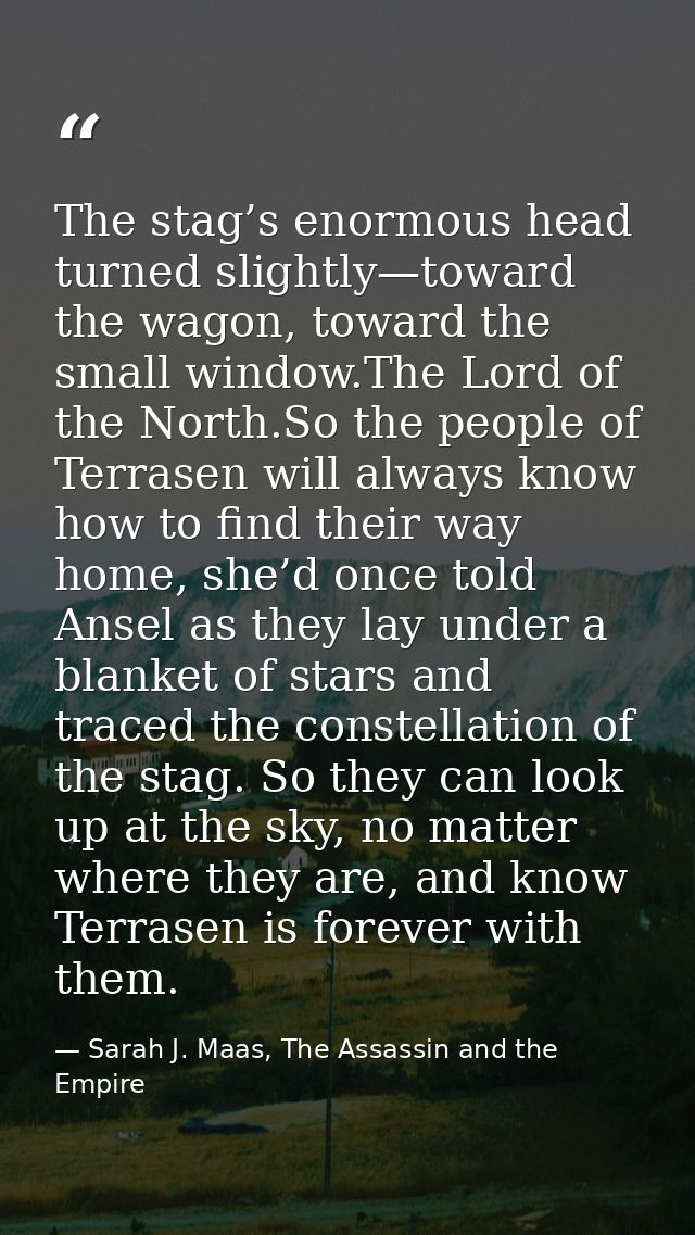The stag’s enormous head turned slightly—toward the wagon, toward the small window.The Lord of the North.So the people o — Sarah J. Maas, The Assassin and the Empire