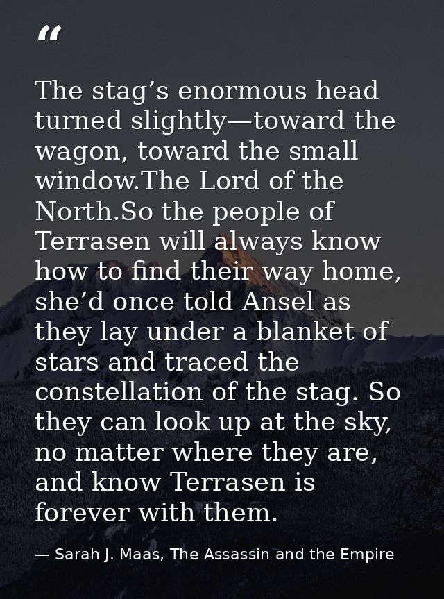 The stag’s enormous head turned slightly—toward the wagon, toward the small window.The Lord of the North.So the people o — Sarah J. Maas, The Assassin and the Empire
