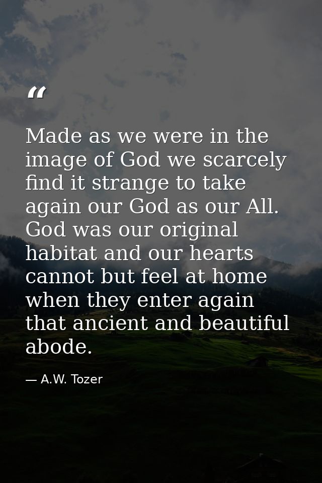 Made as we were in the image of God we scarcely find it strange to take again our God as our All. God was our original h — A.W. Tozer