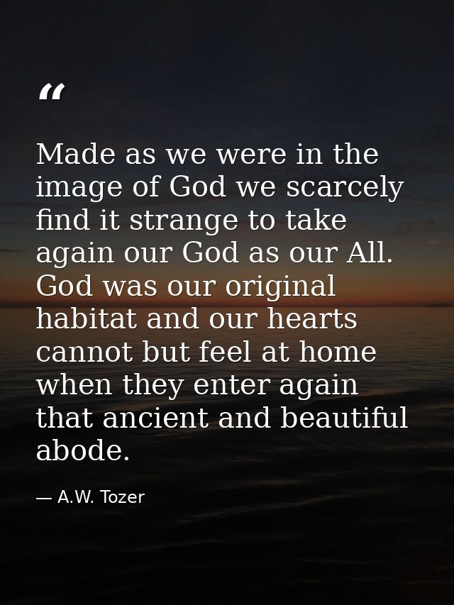 Made as we were in the image of God we scarcely find it strange to take again our God as our All. God was our original h — A.W. Tozer