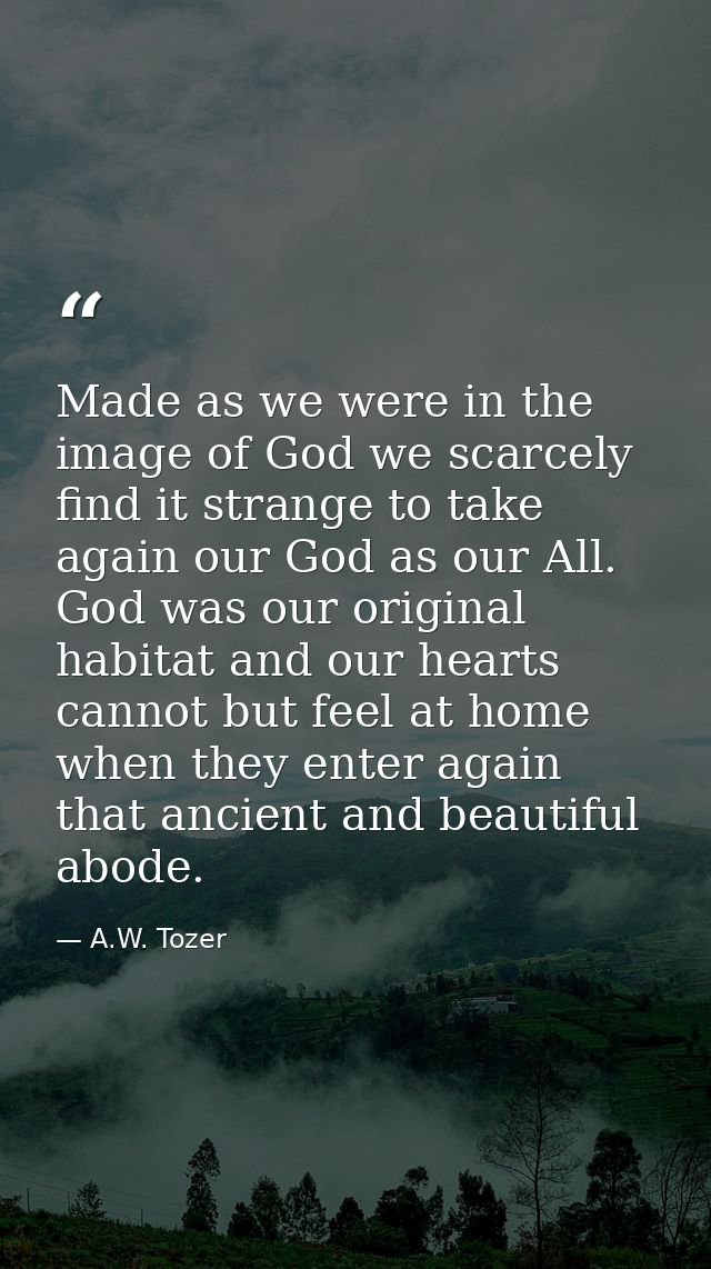 Made as we were in the image of God we scarcely find it strange to take again our God as our All. God was our original h — A.W. Tozer