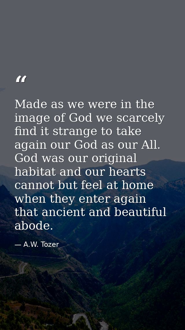 Made as we were in the image of God we scarcely find it strange to take again our God as our All. God was our original h — A.W. Tozer