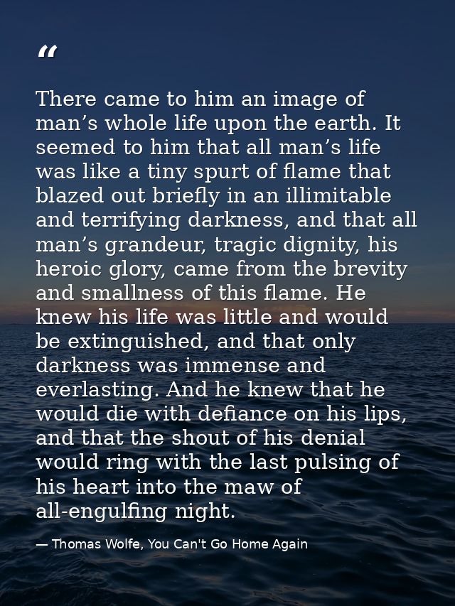 There came to him an image of man’s whole life upon the earth. It seemed to him that all man’s life was like a tiny spur — Thomas Wolfe, You Can't Go Home Again