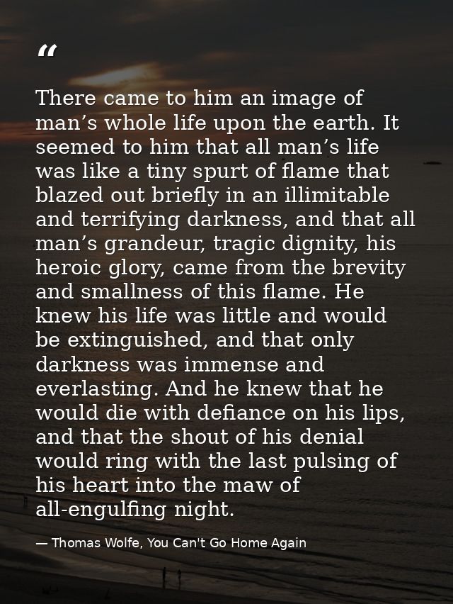 There came to him an image of man’s whole life upon the earth. It seemed to him that all man’s life was like a tiny spur — Thomas Wolfe, You Can't Go Home Again