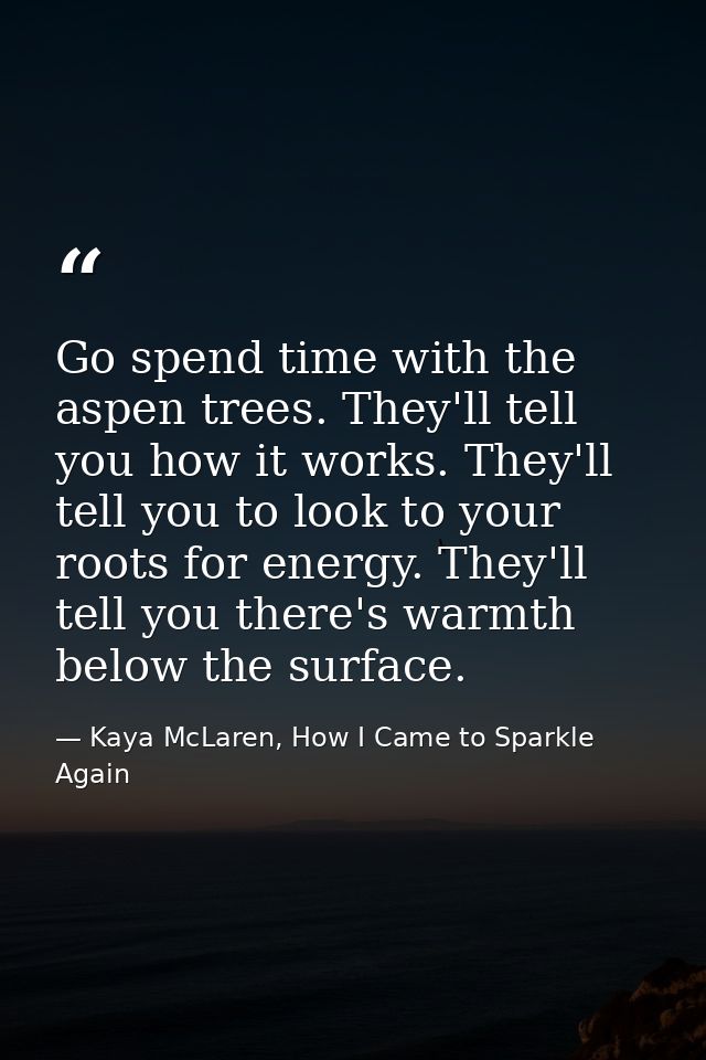 Go spend time with the aspen trees. They'll tell you how it works. They'll tell you to look to your roots for energy. Th — Kaya McLaren, How I Came to Sparkle Again