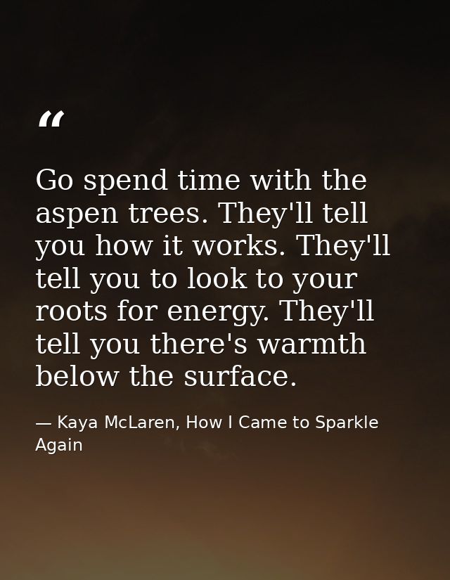 Go spend time with the aspen trees. They'll tell you how it works. They'll tell you to look to your roots for energy. Th — Kaya McLaren, How I Came to Sparkle Again