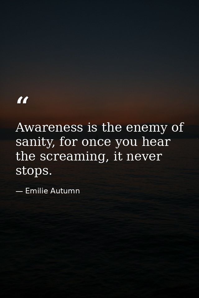 Awareness is the enemy of sanity, for once you hear the screaming, it never stops. — Emilie Autumn