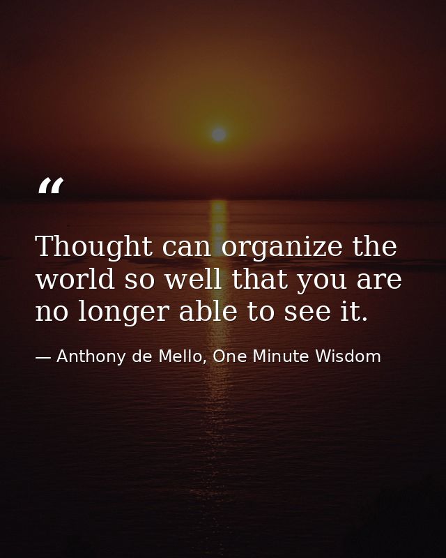 Thought can organize the world so well that you are no longer able to see it. — Anthony de Mello, One Minute Wisdom