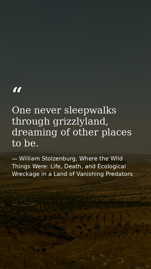 One never sleepwalks through grizzlyland, dreaming of other places to be. — William Stolzenburg, Where the Wild Things Were: Life, Death, and Ecological Wreckage in a Land of Vanishing Predators