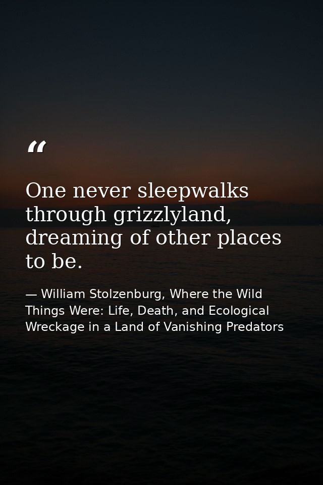 One never sleepwalks through grizzlyland, dreaming of other places to be. — William Stolzenburg, Where the Wild Things Were: Life, Death, and Ecological Wreckage in a Land of Vanishing Predators
