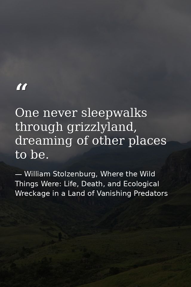 One never sleepwalks through grizzlyland, dreaming of other places to be. — William Stolzenburg, Where the Wild Things Were: Life, Death, and Ecological Wreckage in a Land of Vanishing Predators