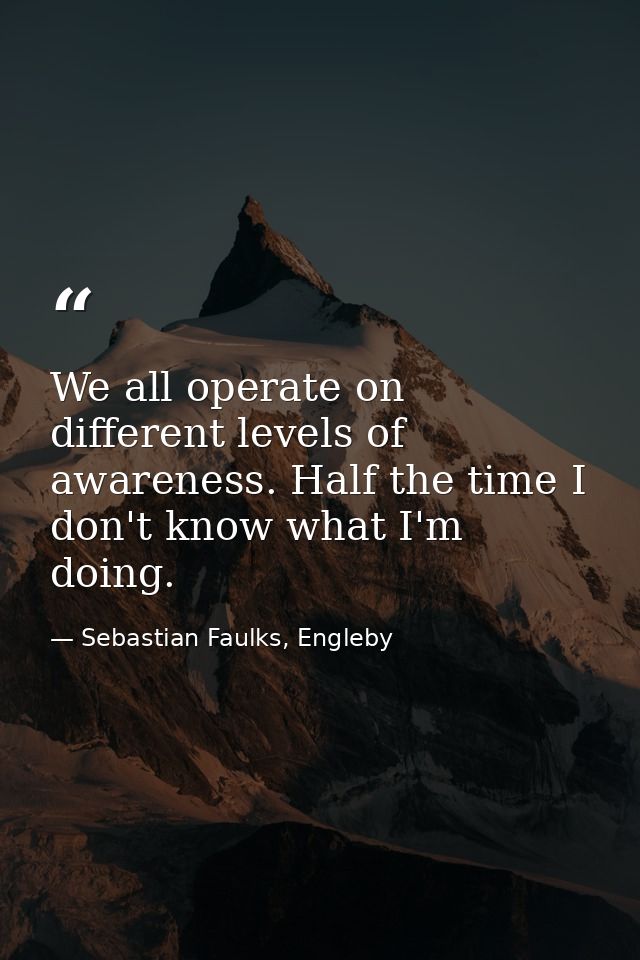 We all operate on different levels of awareness. Half the time I don't know what I'm doing. — Sebastian Faulks, Engleby