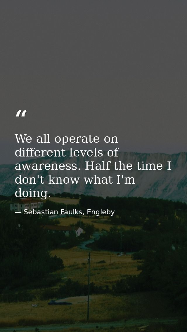 We all operate on different levels of awareness. Half the time I don't know what I'm doing. — Sebastian Faulks, Engleby