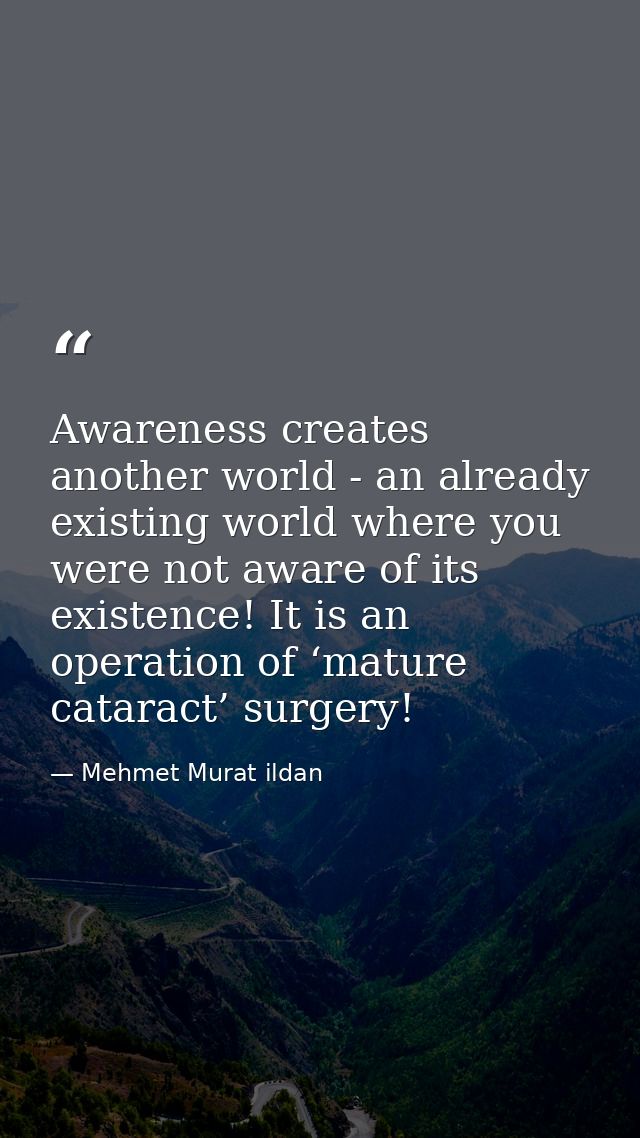 Awareness creates another world - an already existing world where you were not aware of its existence! It is an operatio — Mehmet Murat ildan