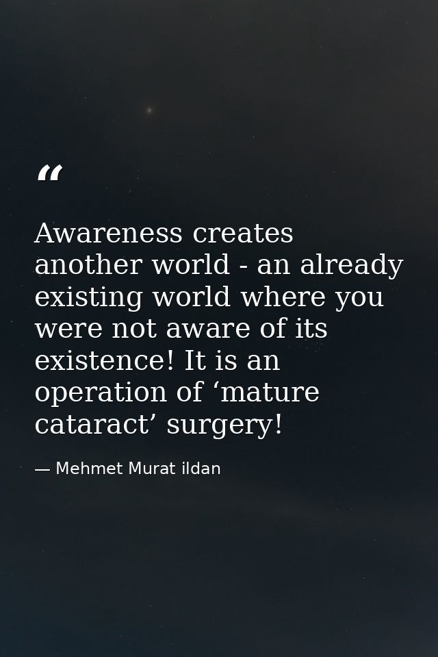 Awareness creates another world - an already existing world where you were not aware of its existence! It is an operatio — Mehmet Murat ildan
