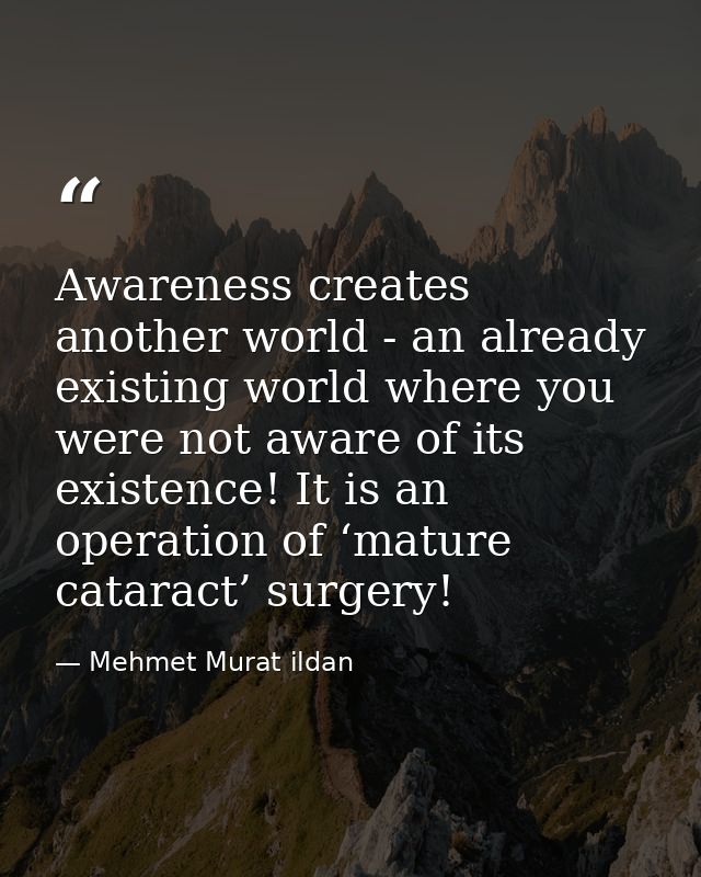 Awareness creates another world - an already existing world where you were not aware of its existence! It is an operatio — Mehmet Murat ildan