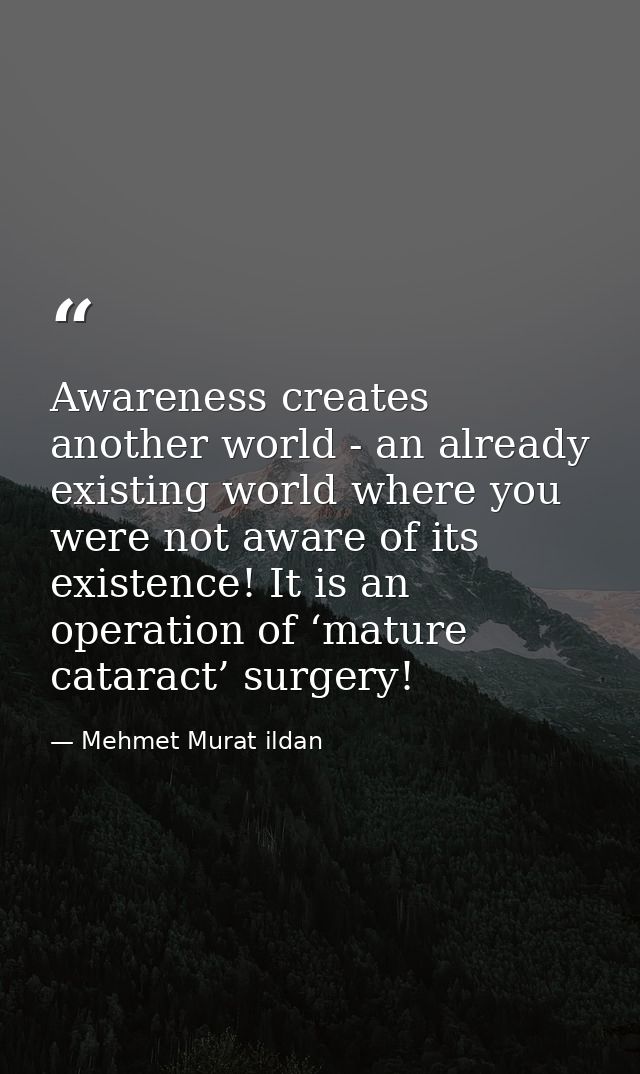 Awareness creates another world - an already existing world where you were not aware of its existence! It is an operatio — Mehmet Murat ildan