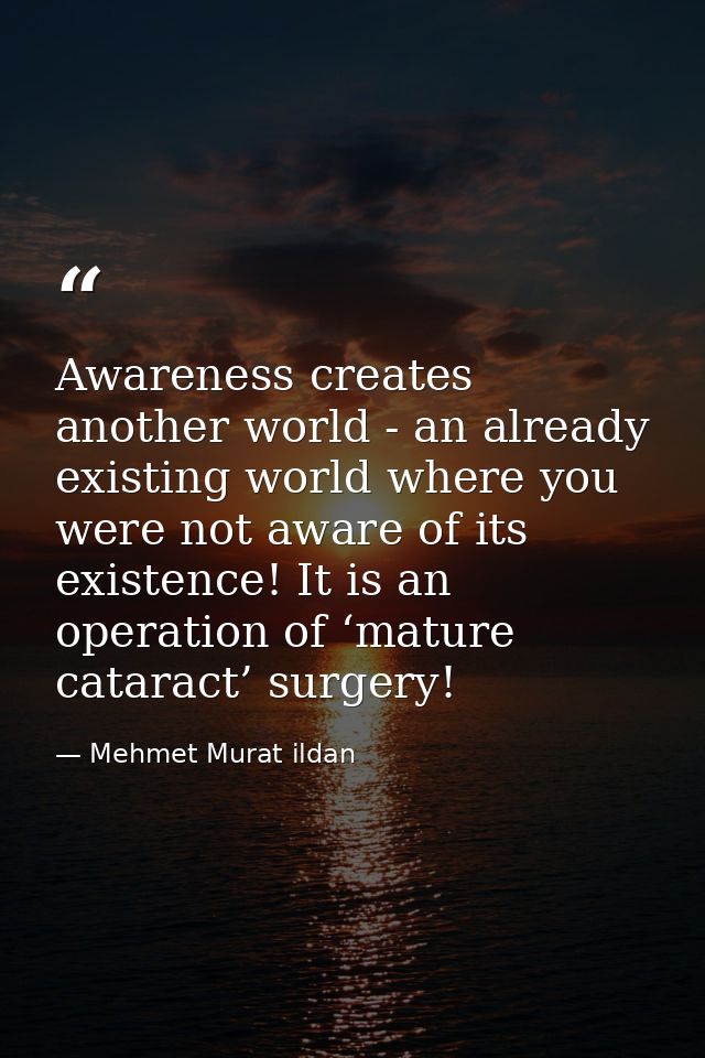 Awareness creates another world - an already existing world where you were not aware of its existence! It is an operatio — Mehmet Murat ildan