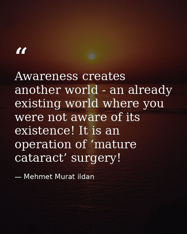 Awareness creates another world - an already existing world where you were not aware of its existence! It is an operatio — Mehmet Murat ildan