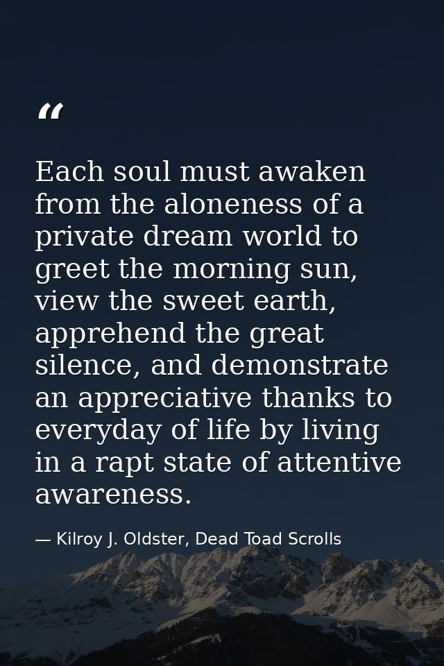 Each soul must awaken from the aloneness of a private dream world to greet the morning sun, view the sweet earth, appreh — Kilroy J. Oldster, Dead Toad Scrolls