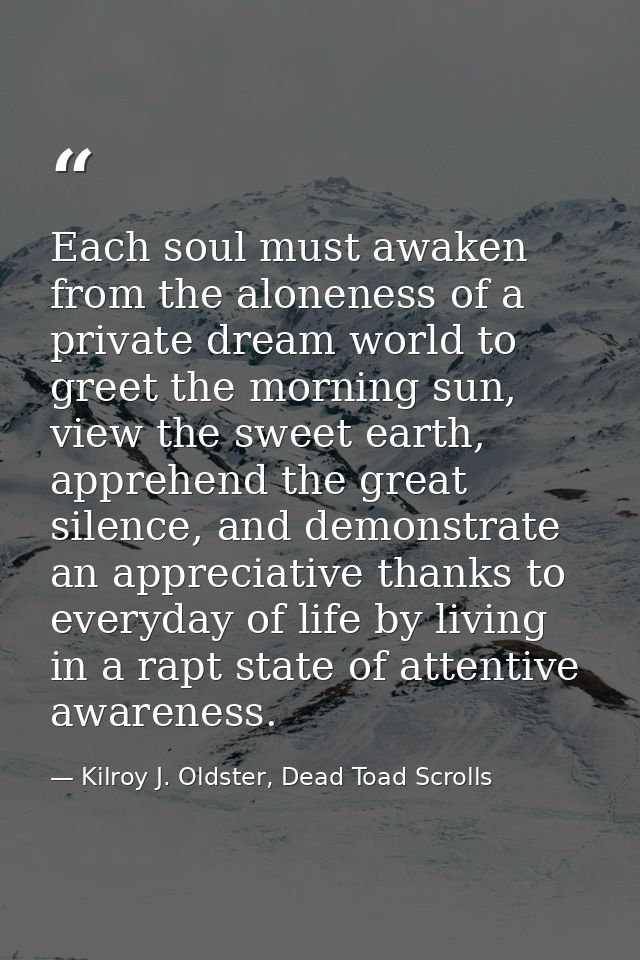 Each soul must awaken from the aloneness of a private dream world to greet the morning sun, view the sweet earth, appreh — Kilroy J. Oldster, Dead Toad Scrolls