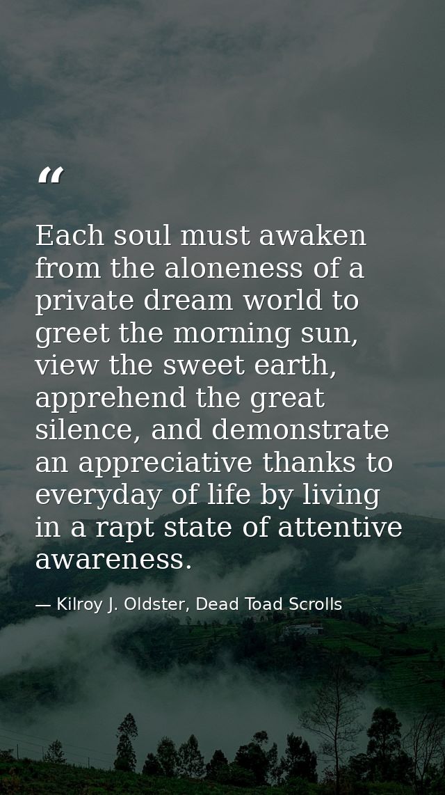 Each soul must awaken from the aloneness of a private dream world to greet the morning sun, view the sweet earth, appreh — Kilroy J. Oldster, Dead Toad Scrolls