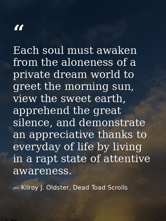 Each soul must awaken from the aloneness of a private dream world to greet the morning sun, view the sweet earth, appreh — Kilroy J. Oldster, Dead Toad Scrolls