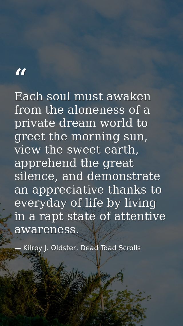 Each soul must awaken from the aloneness of a private dream world to greet the morning sun, view the sweet earth, appreh — Kilroy J. Oldster, Dead Toad Scrolls