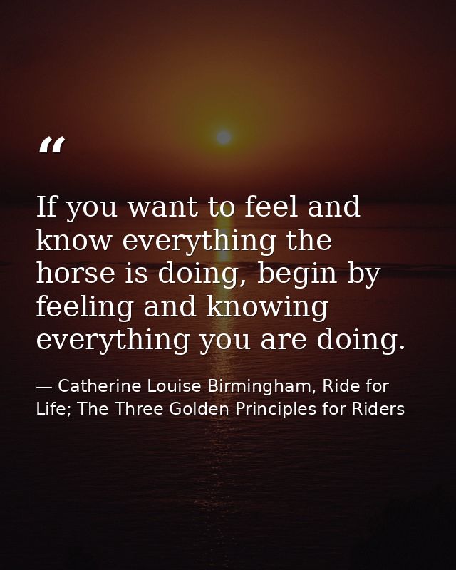 If you want to feel and know everything the horse is doing, begin by feeling and knowing everything you are doing. — Catherine Louise Birmingham, Ride for Life; The Three Golden Principles for Riders