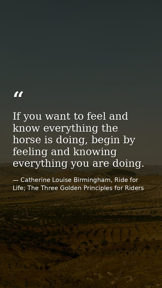 If you want to feel and know everything the horse is doing, begin by feeling and knowing everything you are doing. — Catherine Louise Birmingham, Ride for Life; The Three Golden Principles for Riders