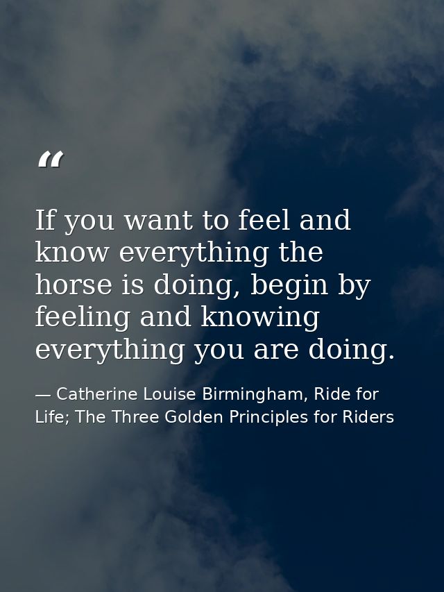 If you want to feel and know everything the horse is doing, begin by feeling and knowing everything you are doing. — Catherine Louise Birmingham, Ride for Life; The Three Golden Principles for Riders