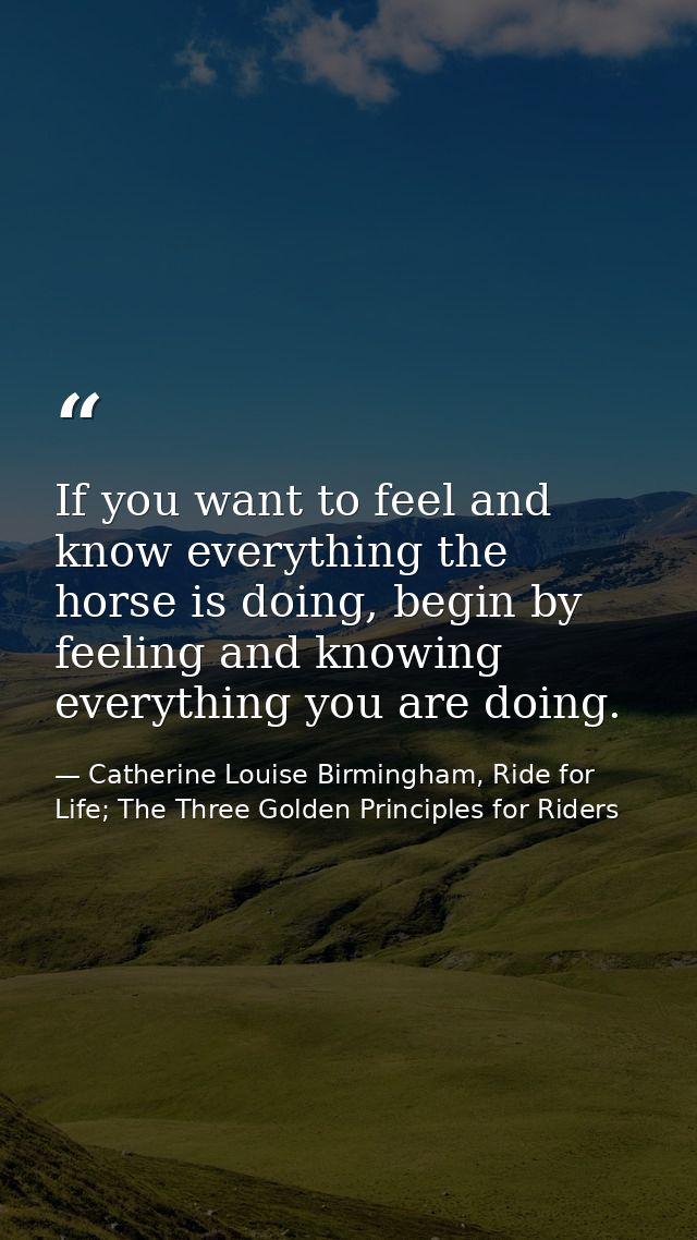 If you want to feel and know everything the horse is doing, begin by feeling and knowing everything you are doing. — Catherine Louise Birmingham, Ride for Life; The Three Golden Principles for Riders