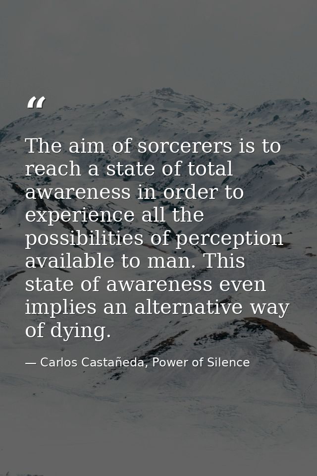 The aim of sorcerers is to reach a state of total awareness in order to experience all the possibilities of perception a — Carlos Castañeda, Power of Silence
