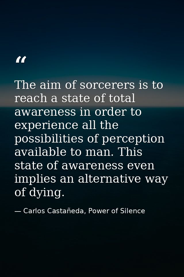 The aim of sorcerers is to reach a state of total awareness in order to experience all the possibilities of perception a — Carlos Castañeda, Power of Silence
