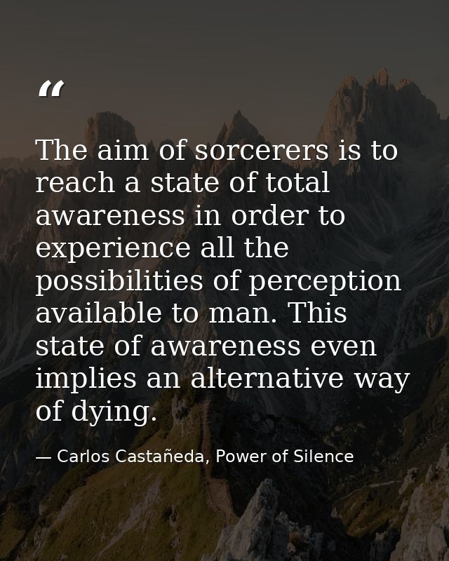 The aim of sorcerers is to reach a state of total awareness in order to experience all the possibilities of perception a — Carlos Castañeda, Power of Silence