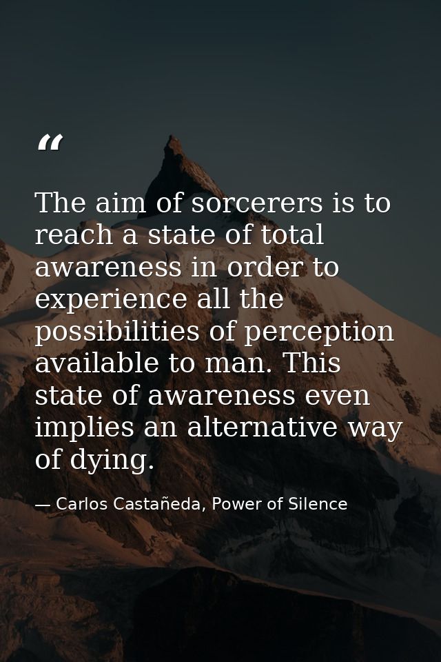 The aim of sorcerers is to reach a state of total awareness in order to experience all the possibilities of perception a — Carlos Castañeda, Power of Silence